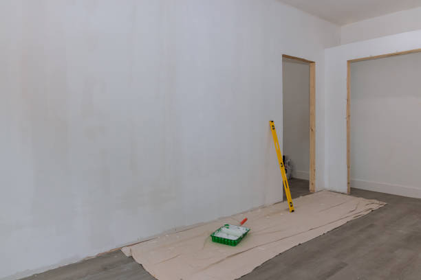 Best Attic Mold Removal  in Strasburg, VA